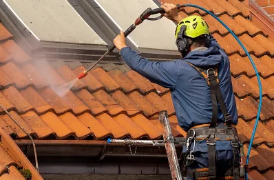 Démoussage et hydrofuge de toiture à Cognin